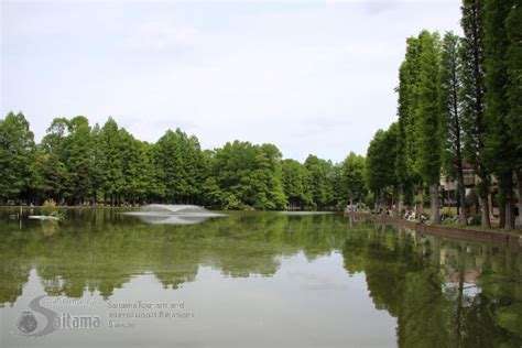 埼玉県発展場|【ハッテン場・公園】別所沼公園